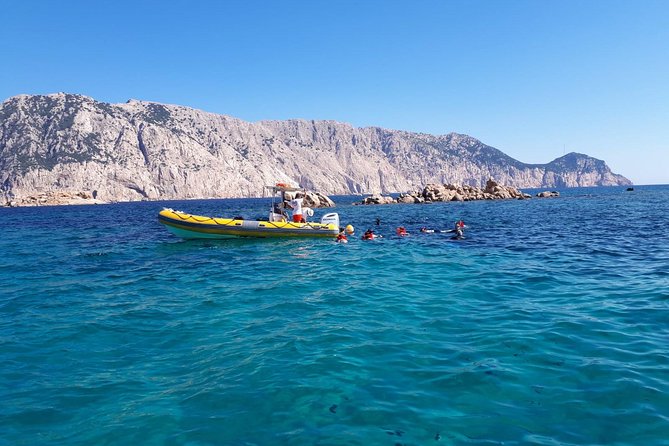 Snorkeling Marine Protected Area Tavolara