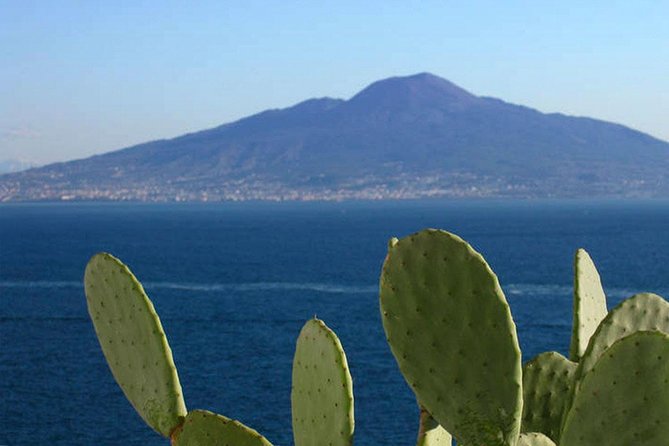 Sorrento Small-Group Sightseeing and Food Tour - Tour Details and Highlights