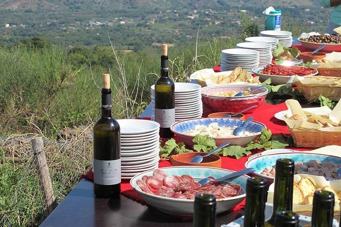 Private 6-Hour Tour of Three Etna Wineries With Food and Wine Tasting - Pickup Details