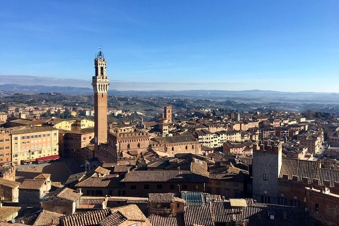 Discover the Medieval Charm of Siena on a Private Walking Tour - Visitor Experiences and Recommendations