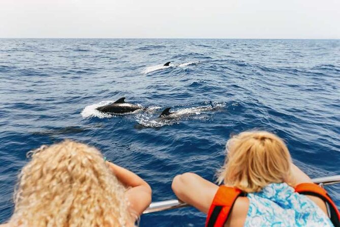 Dolphin Watching Tour With Snorkeling From Olbia - Additional Information