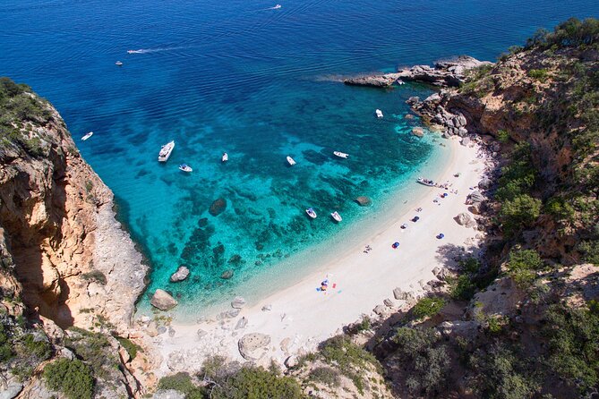 One Day Guided Boat Tour Along the Baunei Coast - Positive Feedback and Recommendations