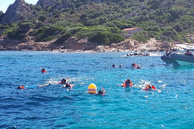 Snorkeling Marine Protected Area Tavolara - Expectations and Requirements