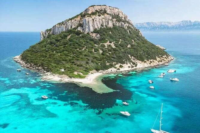 Dolphin Watching Tour With Snorkeling From Olbia - Availability and Booking Process