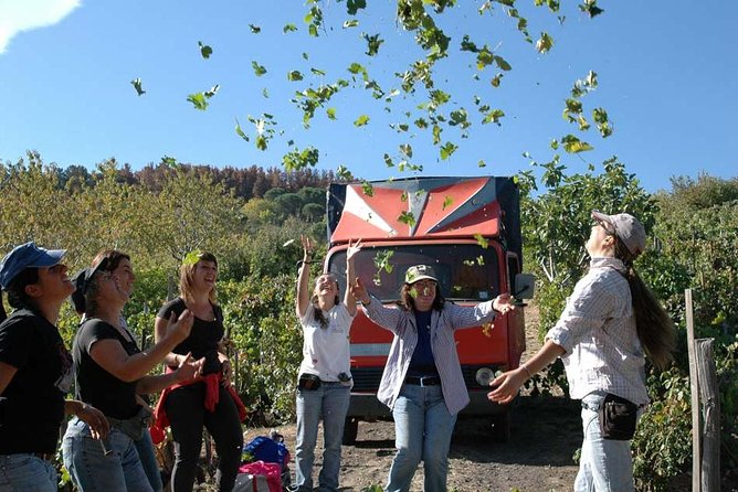 Private 6-Hour Tour of Three Etna Wineries With Food and Wine Tasting - Frequently Asked Questions