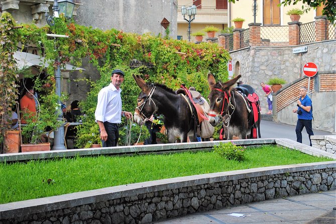 Savoca, Forza D'Agro Godfather Tour With Wine, Dinner Option  - Taormina - Final Words