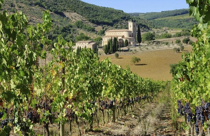 Florence: Val Dorcia Brunello Wine Tour:Montalcino Montepulciano - Just The Basics