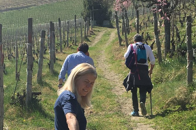 Abellonio Cascina Piccaluga – Visit to the Vineyards, to the Wine Tasting Cellar