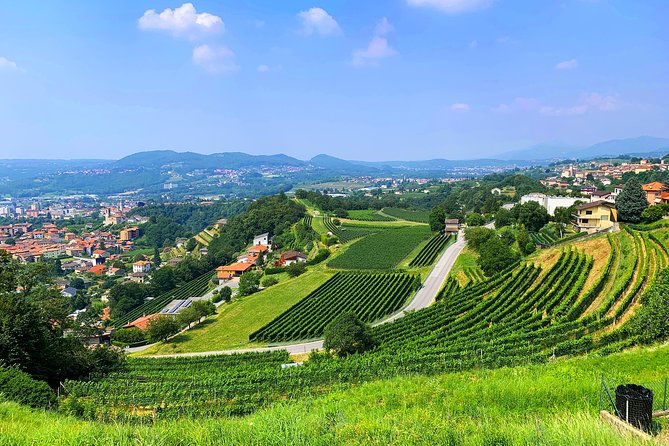 E-Bike Tour Lake Como and Swiss Vineyards