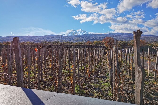 Etna Wine and Alcantara