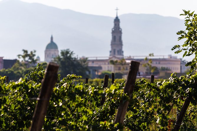 Pompeii Wine Tasting - Excursion to Bosco De Medici Winery