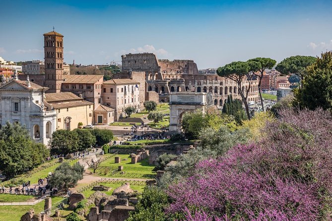 Ultimate Colosseum Tour, Roman Forum & Palatine Hill