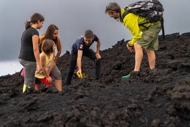 Mt Etna and Wine Tasting Tour From Catania - Tour Overview