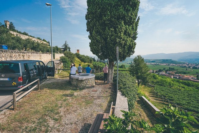 Semi-Private Amarone Wine-Tasting Tour From Verona - Overview of the Tour