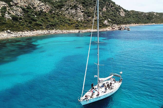 Daily Sailing With Exclusive Boat in the Arcipleago of La Maddalena - Reviews and Ratings