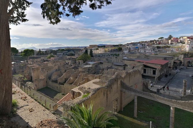 Private Tour: Day Trip Excursion to Mt. Vesuvius, Herculaneum and Pompeii - Cancellation Policy