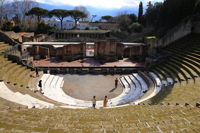 Skip-The-Line Half-Day Private Tour Ancient Pompeii Highlights With Native Guide - Tour Policies and Expectations