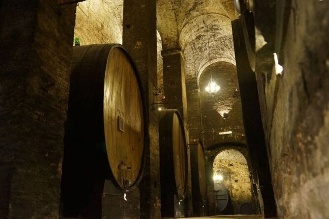 Tasting Tour At A Historic Winery In Montepulciano - Overview and Itinerary