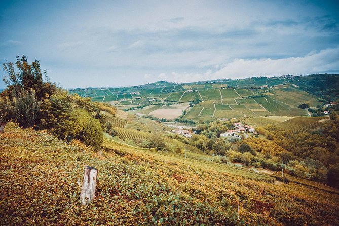 Abellonio Cascina Piccaluga - Visit to the Vineyards, to the Wine Tasting Cellar - Directions