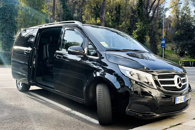 Fiumicino Airport (FCO) to Rome - Private Arrival Transfer - Professional Chauffeur Assistance