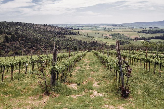 Florence:Trip to Chianti, Siena, San Gimignano With Lunch & Wine - Indulge in a Delicious Lunch