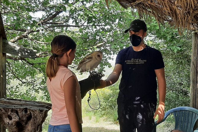 Interactive Path of Birds of Prey - Visitor Amenities and Practical Information