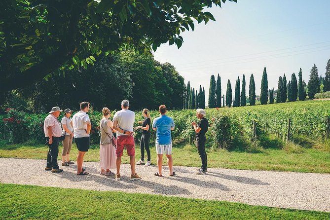 Semi-Private Amarone Wine-Tasting Tour From Verona - Tour Experience