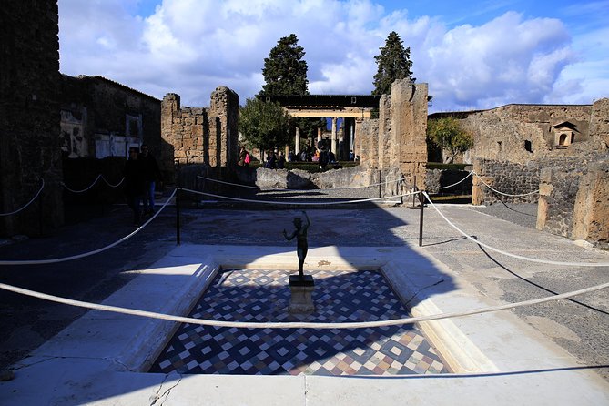 Skip-The-Line Half-Day Private Tour Ancient Pompeii Highlights With Native Guide - Traveler Reviews and Ratings