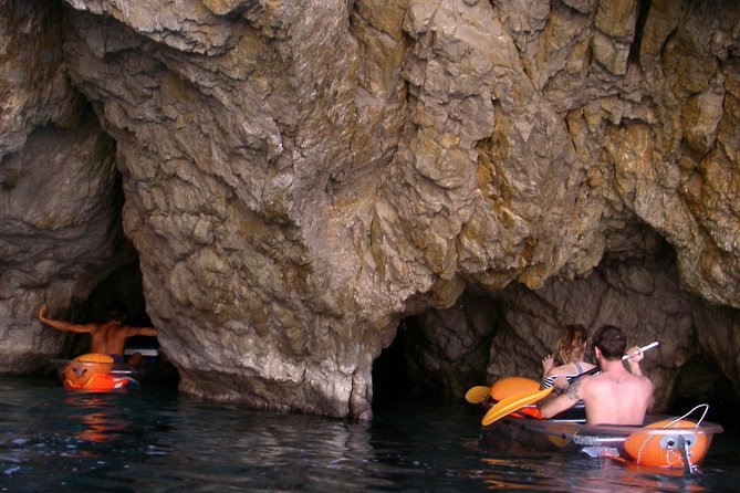 Chasing Syrens Transparent Kayak Tours - Customer Reviews