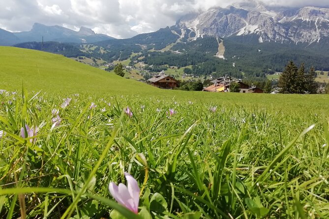 Dolomites and Cortina Dampezzo Day Trip From Venice  - Bolzano - Frequently Asked Questions