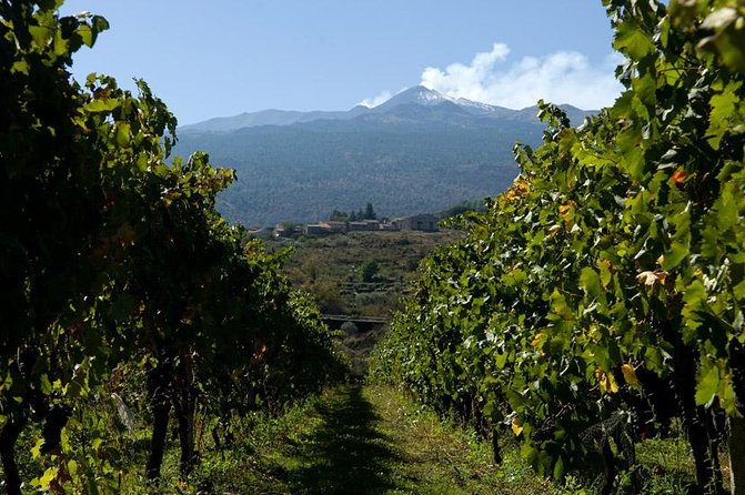 Mt Etna and Wine Tasting Tour From Catania - Wine Tasting Experience