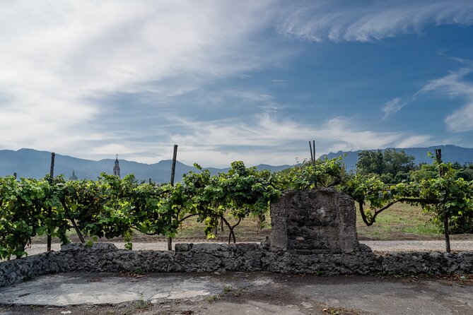 Pompeii Wine Tasting - Wine Tasting Experience Feedback