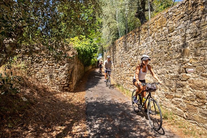 Tuscan Country Bike Tour From Florence, Including Wine and Olive Oil Tastings - Half-Day Bike Tour