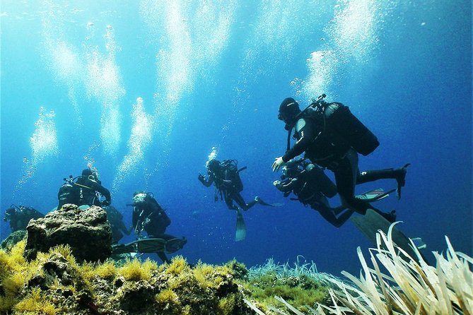 Diving With PADI 5 Star CDC Diving Resort Isola Bella Marine Park Taormina - Cancellation Policy and Weather Considerations