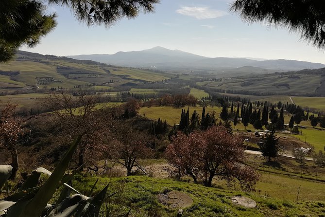 Small-Group Montepulciano and Pienza Day Trip From Siena - Highlights and Memorable Experiences of the Tour