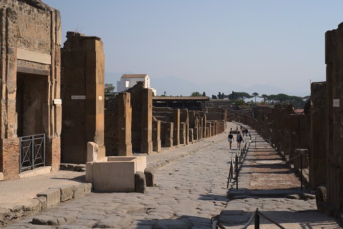 Pompeii Ruins & Lunch W/ Wine Tasting - Traveler Photos