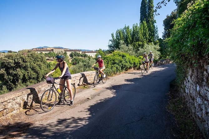 Tuscan Country Bike Tour From Florence, Including Wine and Olive Oil Tastings - Just The Basics