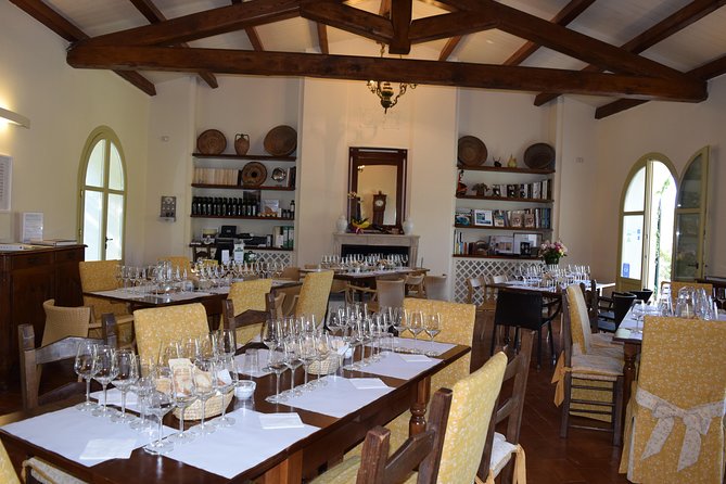 Guided Wine and Olive Oil Tasting - What To Expect