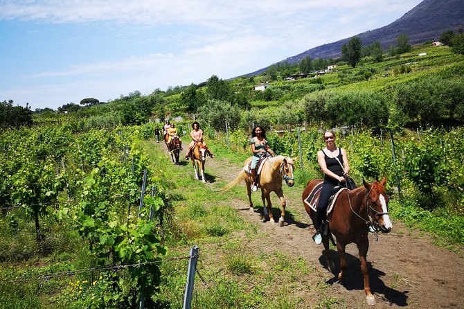 Horseback Riding on Vesuvius