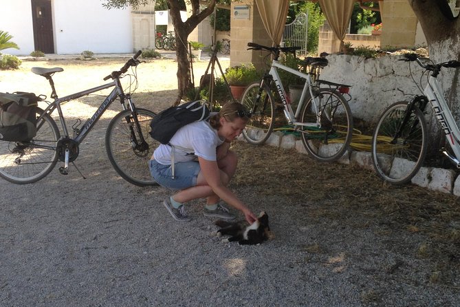 Puglia Bike Tour: Cycling Through the History of Extra Virgin Olive Oil