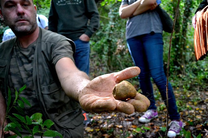 Full-Day Small-Group Truffle Hunting in Tuscany With Lunch - Guide and Host