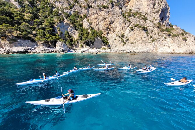 Kayak Tour in Capri Between Caves and Beaches - Inclusions