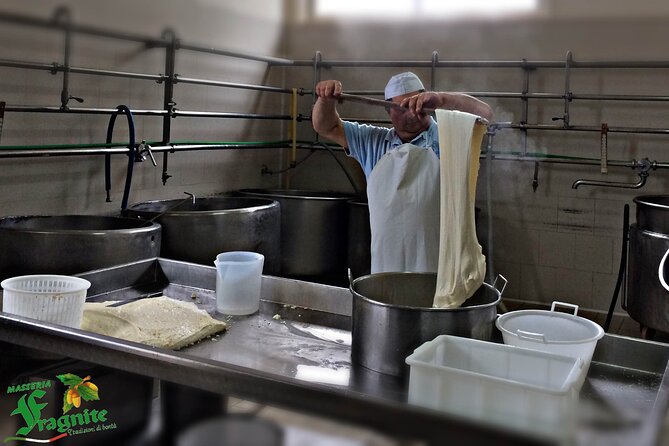 Mozzarella Experience - Cheese Tour and Tastings to Masseria Fragnite - Cancellation Policy