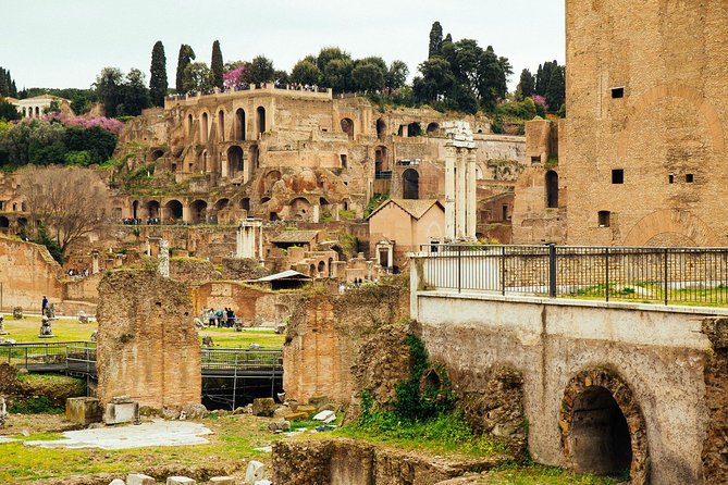 Private Tour: Colosseum & Surroundings With a Local Guide - Meeting and Pickup