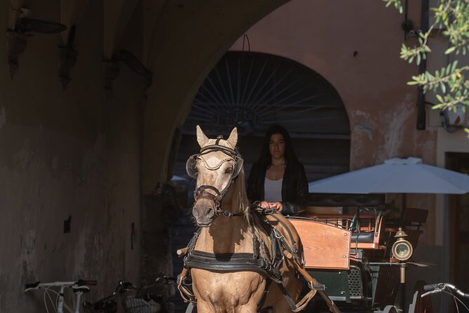 Carriage Tour in the Historic Center of Lucca - Traveler Photos