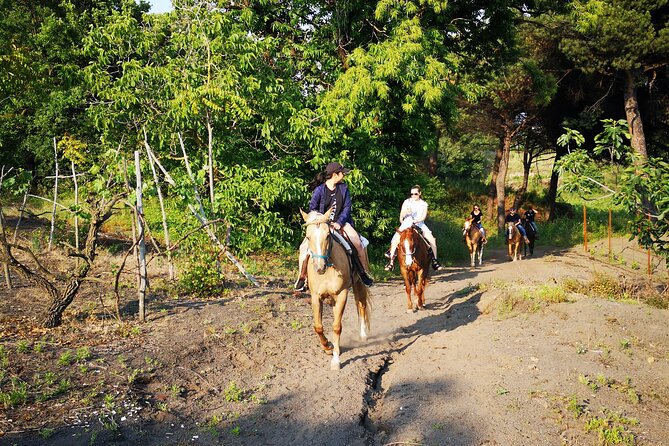 Horseback Riding on Vesuvius - Snack of Cured Meats, Cheeses, and Wine