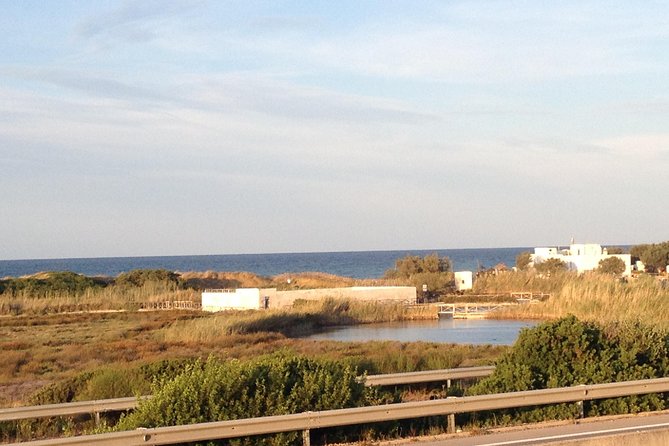 Puglia Bike Tour: Cycling Through the History of Extra Virgin Olive Oil - Coastal Dunes and Wetlands