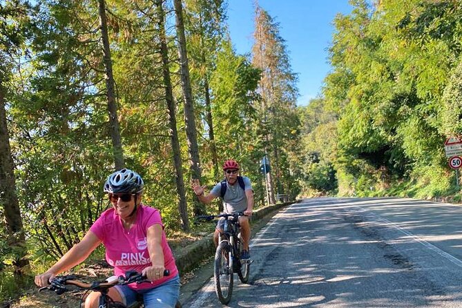 The Heart of the Cinque Terre: Ebike Tour to Vernazza and the National Park - Traveler Reviews and Ratings