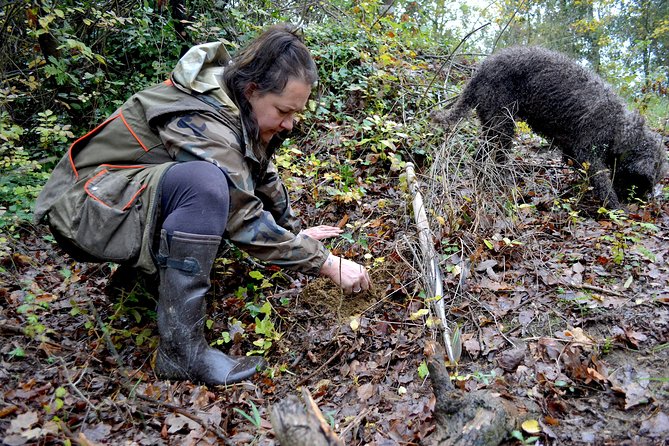 Full-Day Small-Group Truffle Hunting in Tuscany With Lunch - Cancellation Policy