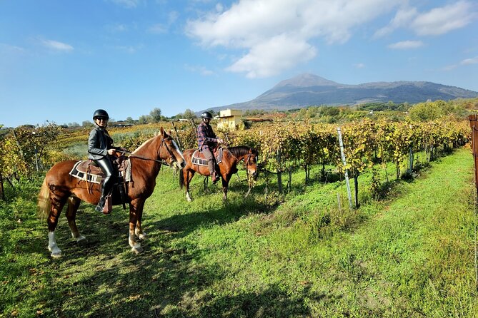 Horseback Riding on Vesuvius - Cancellation Policy